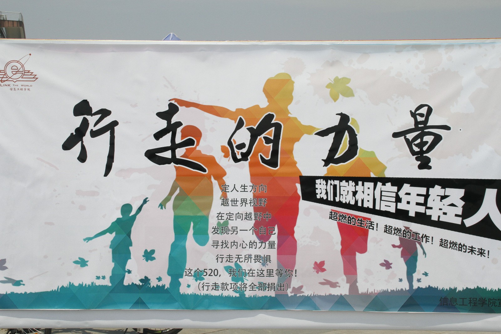 1495611932552064628.jpg 1495611932552064628.jpg